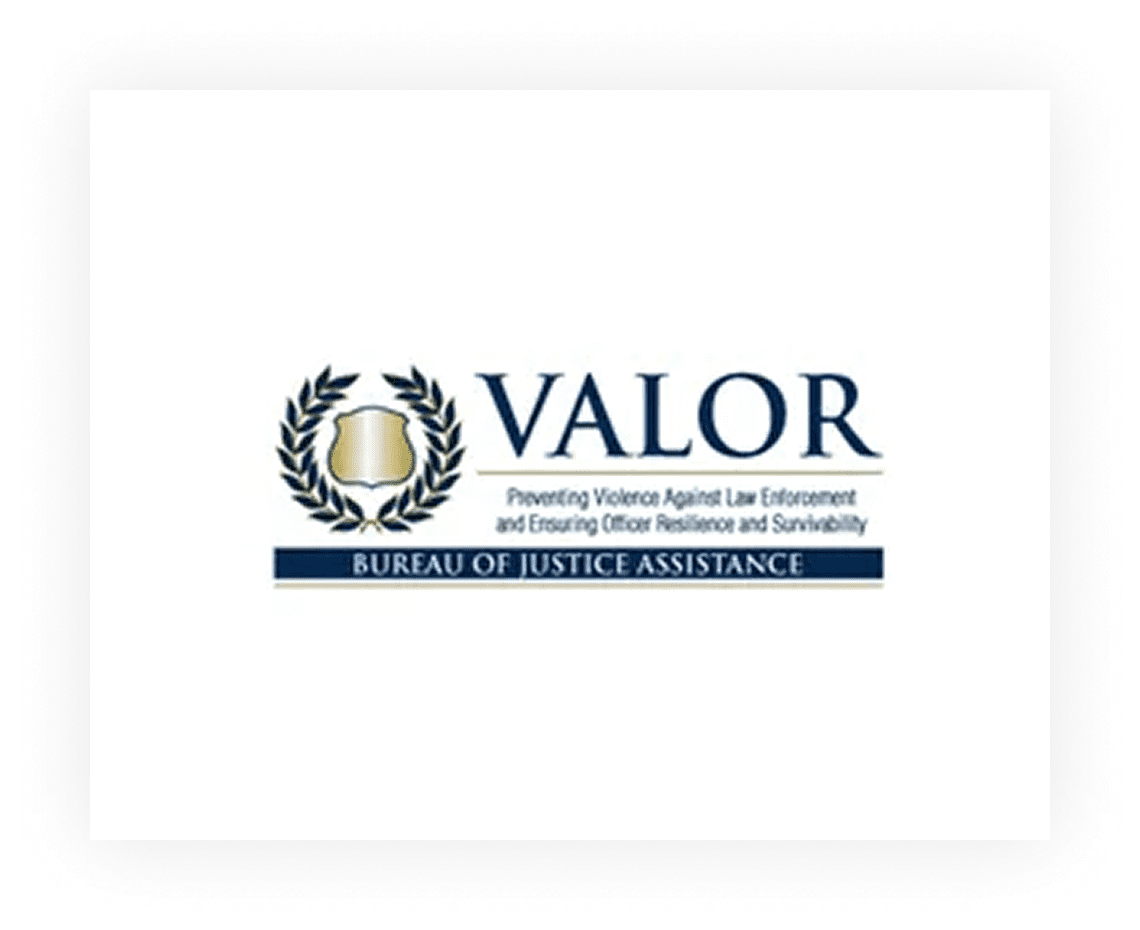 VALOR program logo with laurel wreath
