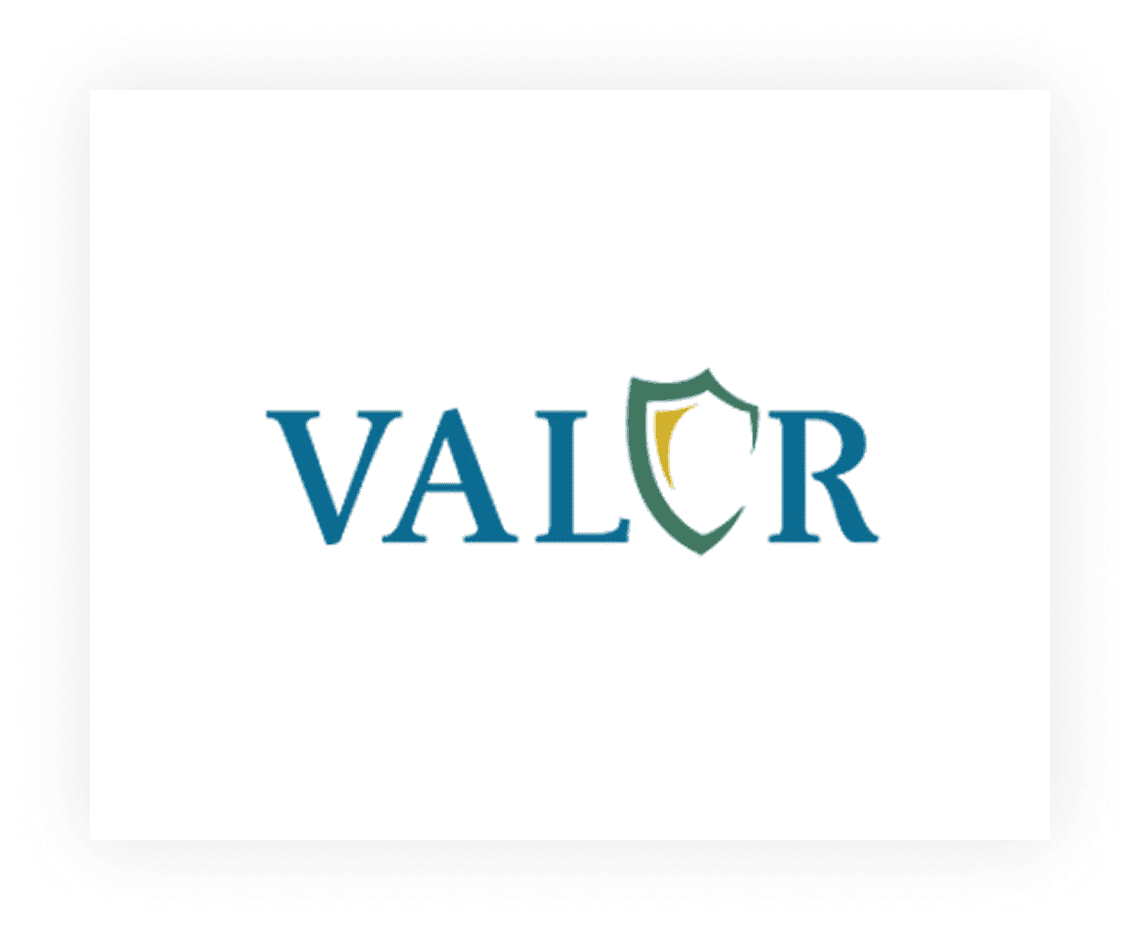 Blue VALOR logo with shield design