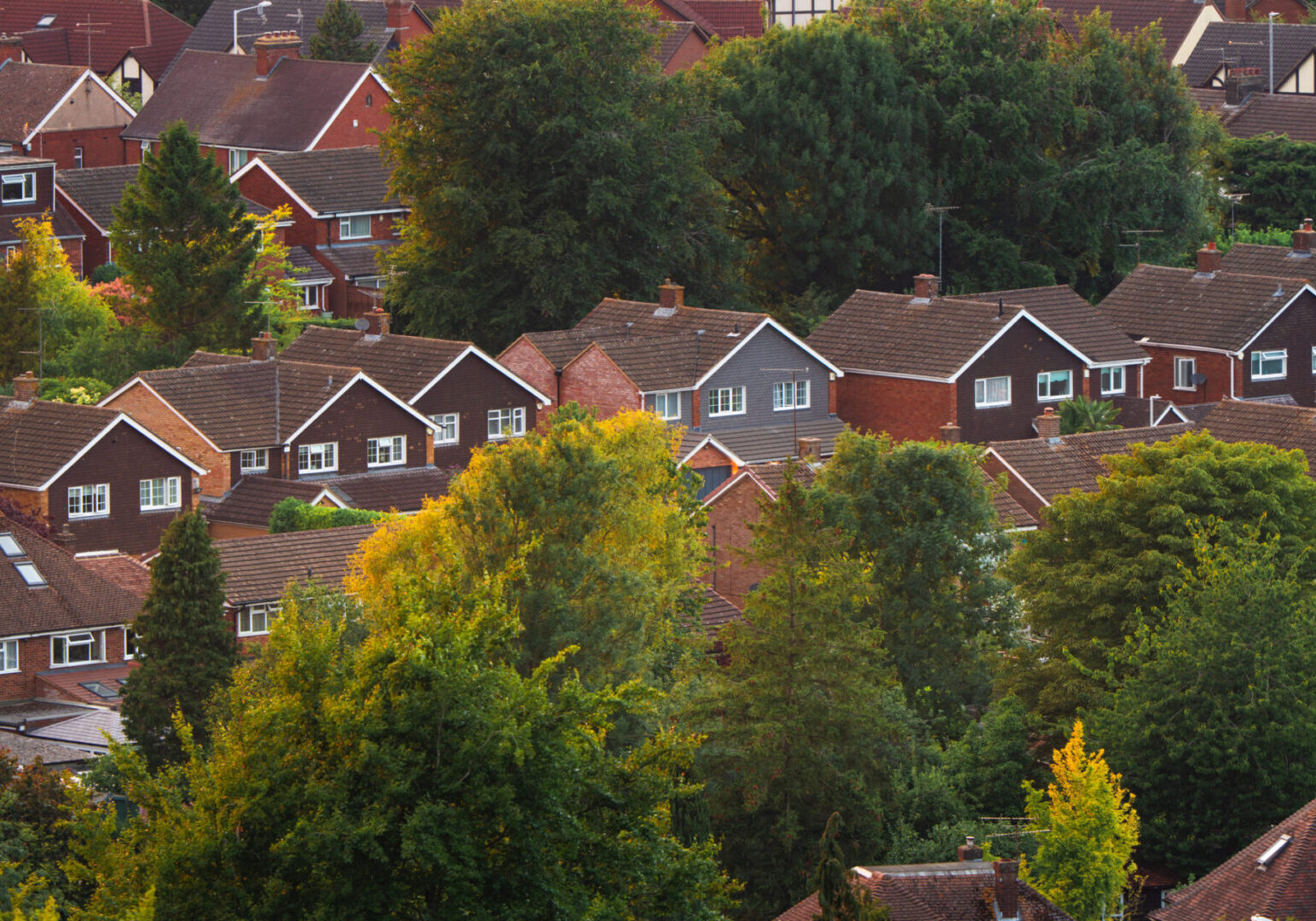 Aerial view showing rooftops of houses and green trees in an english suburb